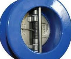 Dual Plate Check Valves in Kolkata